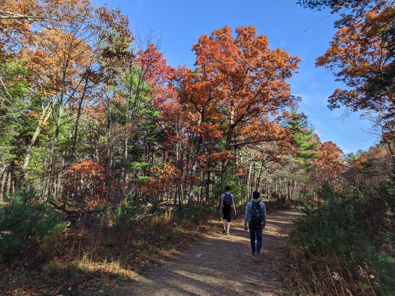 Blue Hills Reservation: Big Fall Views Close to Boston