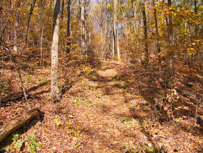 Follow the Appalachian Trail Through Kent