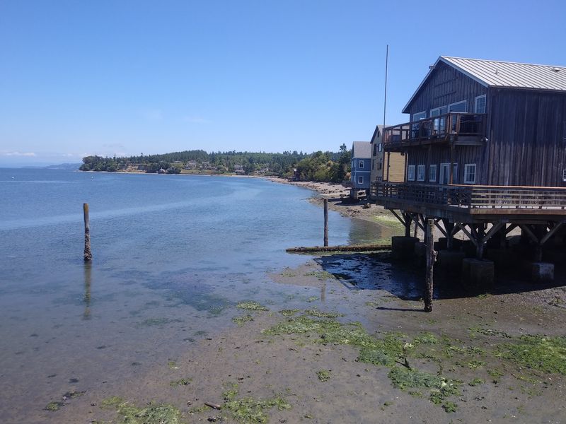 Those Famous Mussels Grow Right Outside The Window
