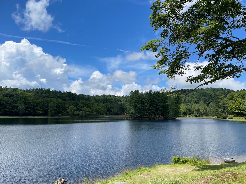 Admire the Lake Reflections