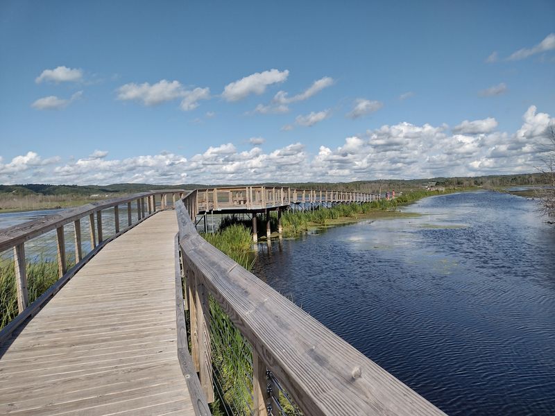 A Wooden Path That Seems to Float