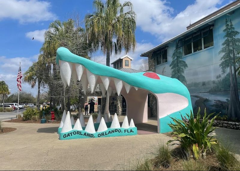 Smile Big, Because You Enter Through A Gator's Jaws