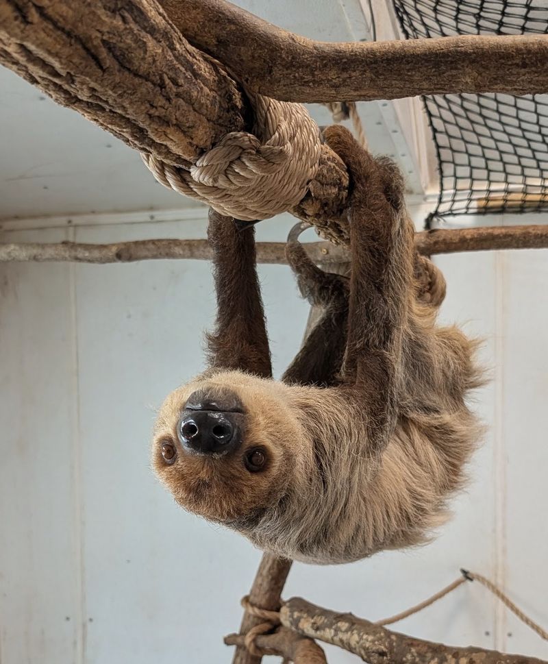 Book A Wild Encounter For Front-Row Animal Time
