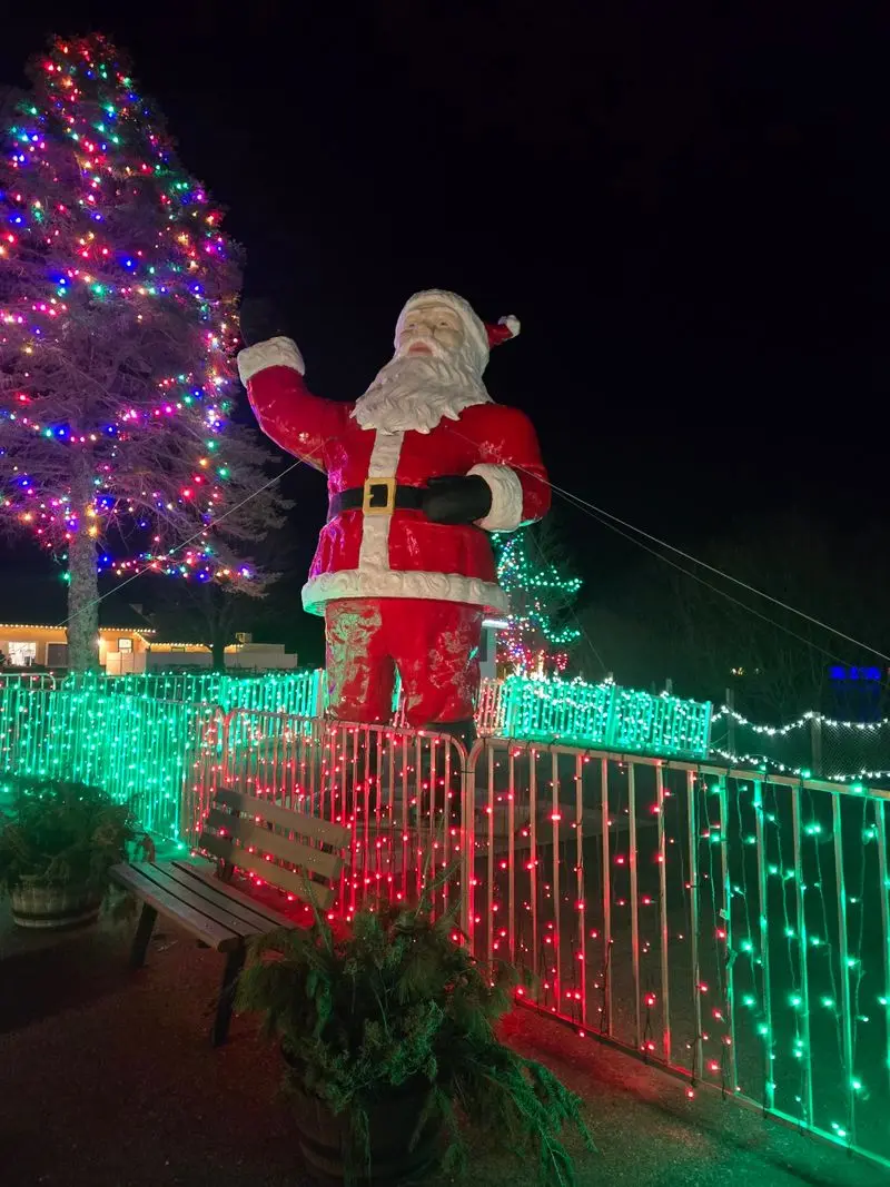 Add Ice Skating, Carriage Rides And Holiday Treats