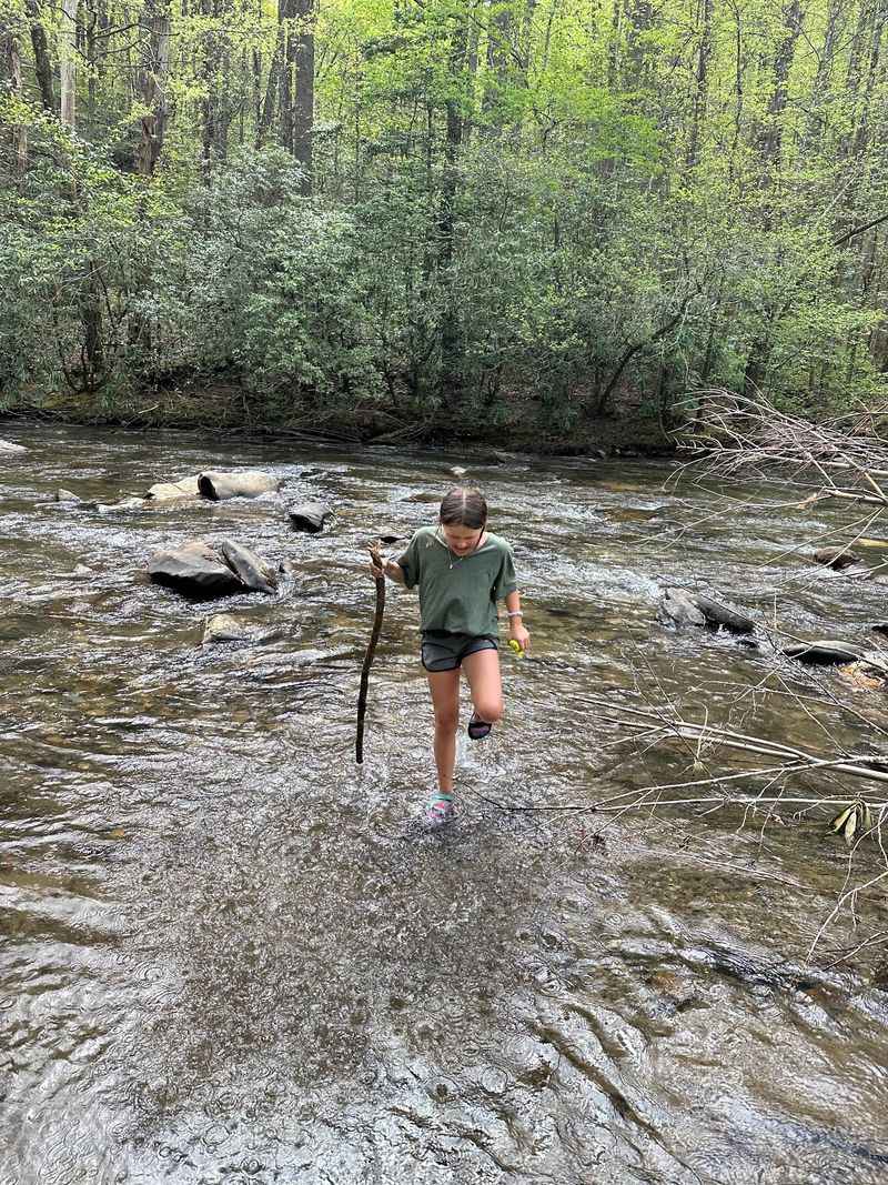 Count The River Crossings If You Can Keep Track