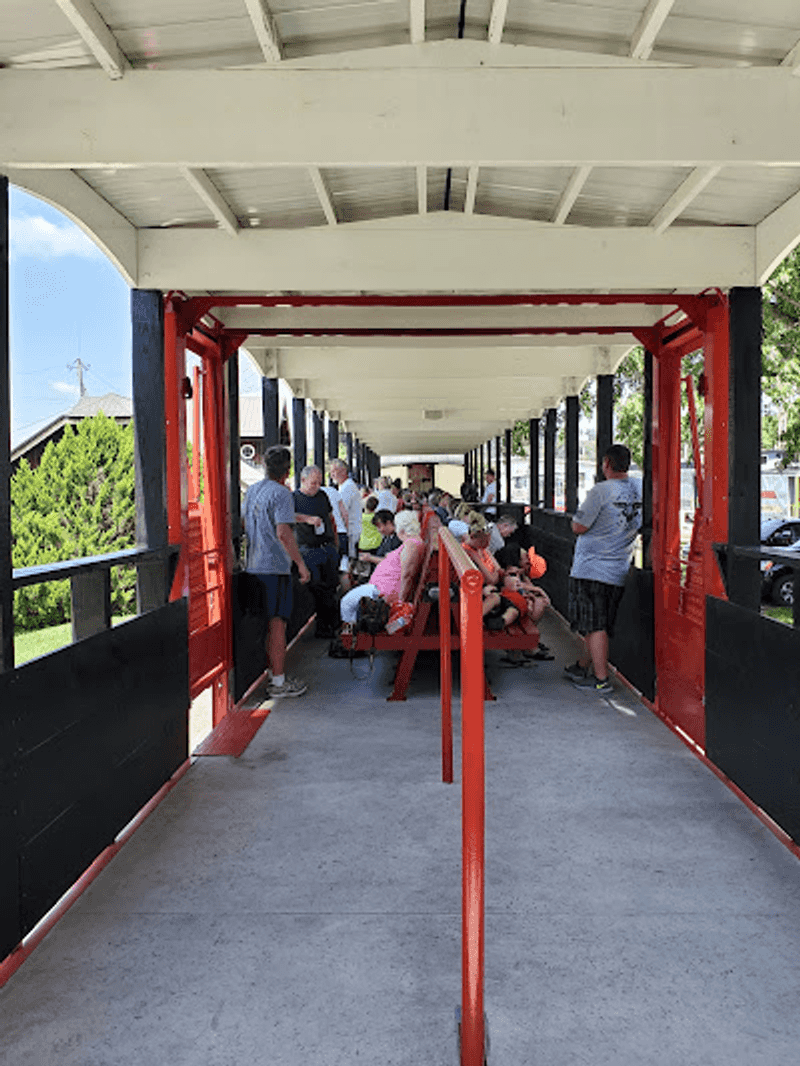 Feel the Season in an Open-Air Car