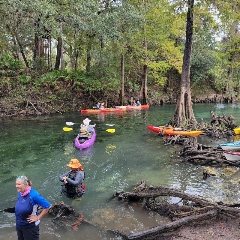 Grab A Paddle And Head Out Onto The Withlacoochee