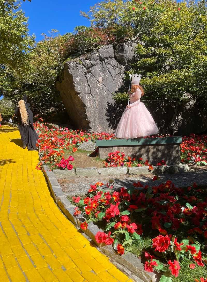 See Glinda the Good Witch Bring Some Magic