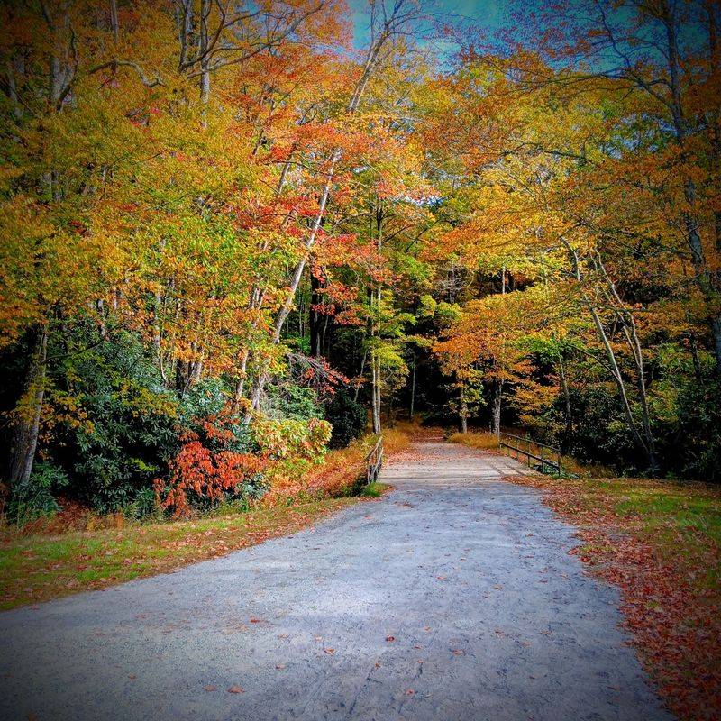 See the Trail in Different Seasons