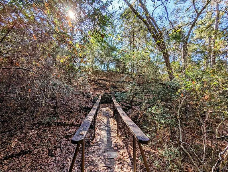 Take the Unhurried Route at Buescher State Park