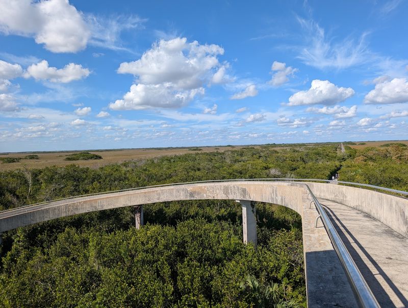Meet Autumn in the Everglades: Shark Valley at Everglades National Park - Miami, Miami-Dade County,