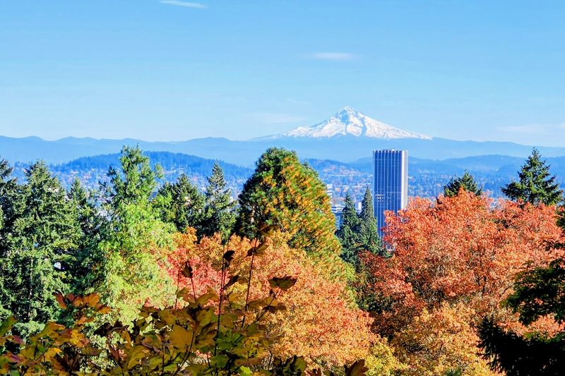 Save Some Camera Space For The Mount Hood View