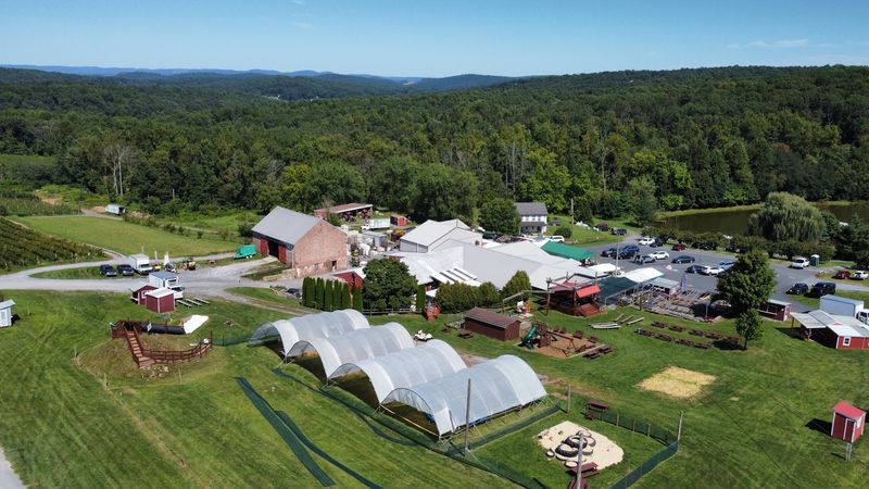 Weaver's Orchard Inc