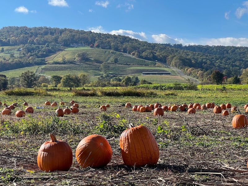 Great Country Farms