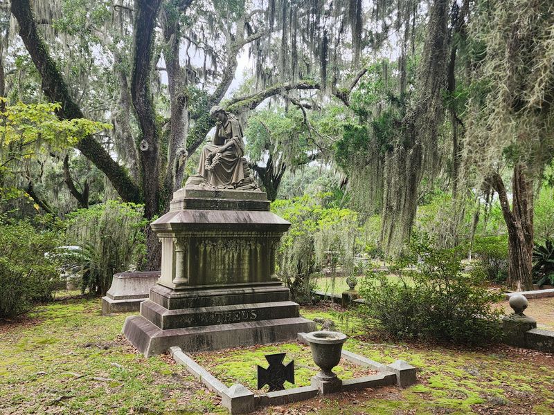 Savannah