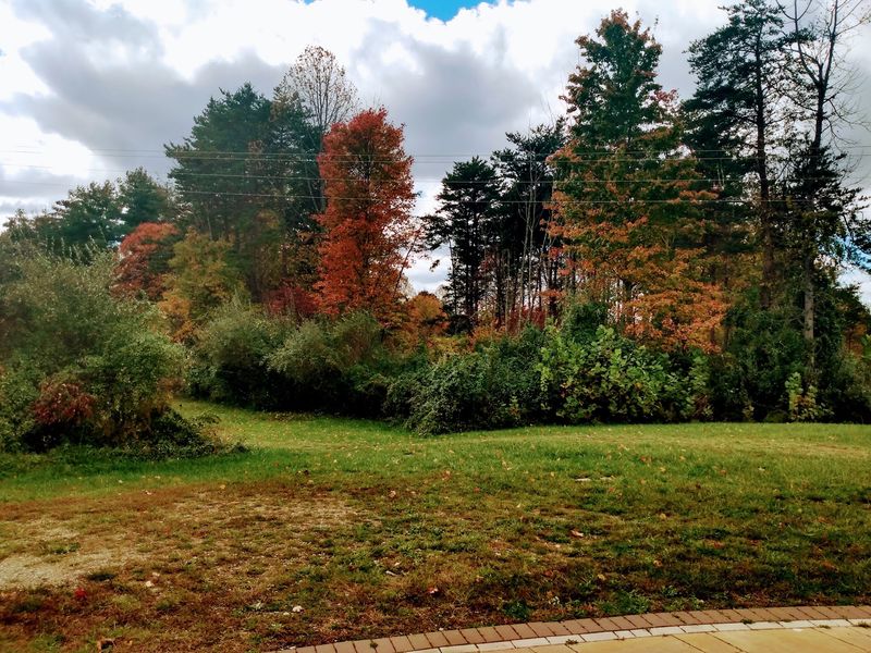 Hocking Hills State Park: Color Around Every Corner