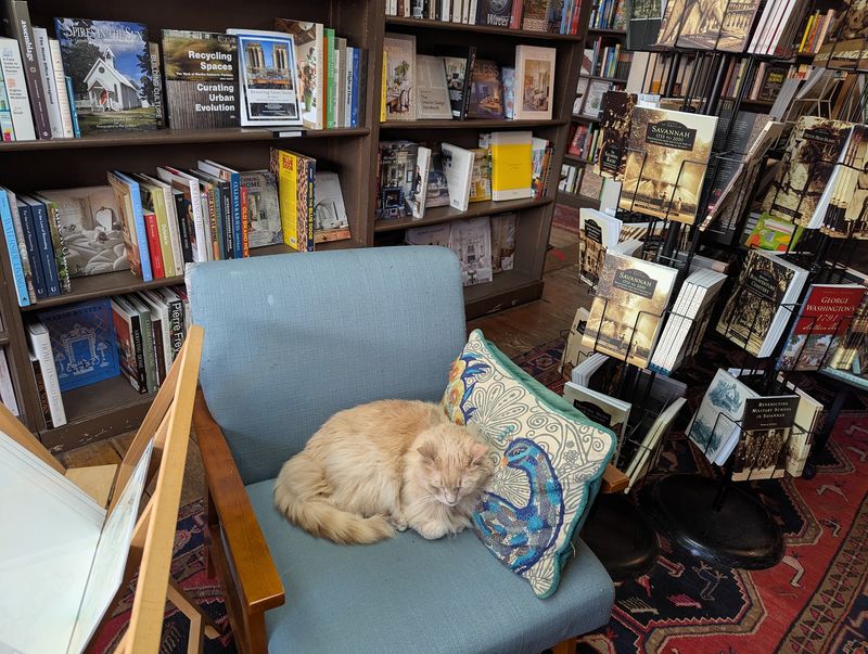 E. Shaver, Bookseller - Savannah