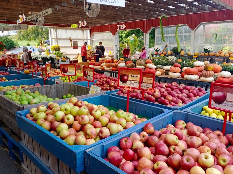 Cherry Hill Orchards