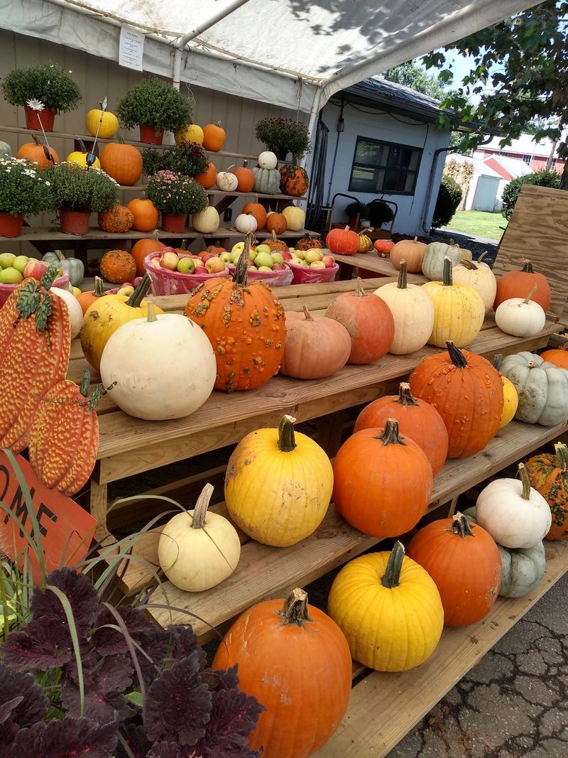 Highland Orchards, West Chester, Chester County