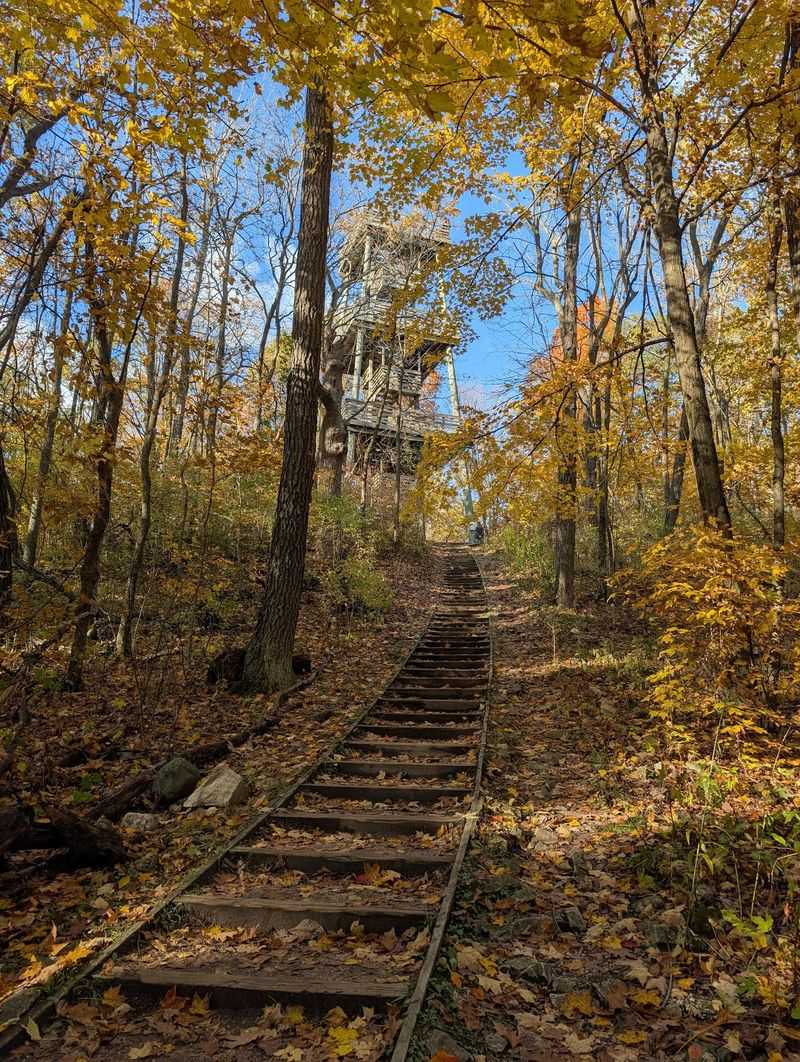 Rise Above the Leaves on Parnell Tower Trail