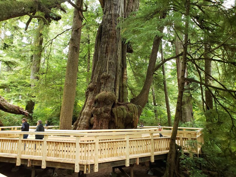 Who Will Love This Walk Most, Including The Dog
