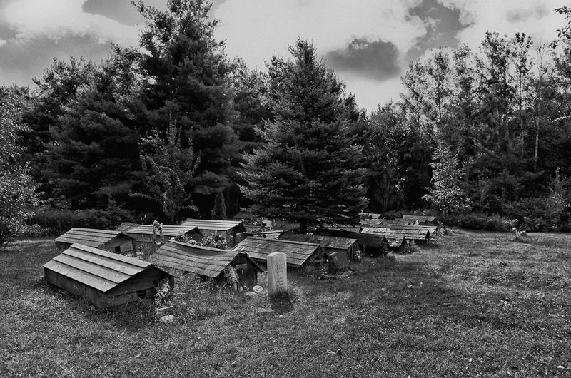 The Story of the Burials
