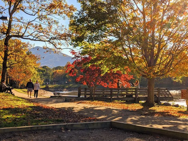 Lake Tomahawk Park