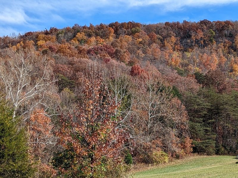 Seasons That Change The Mood Of Your Visit