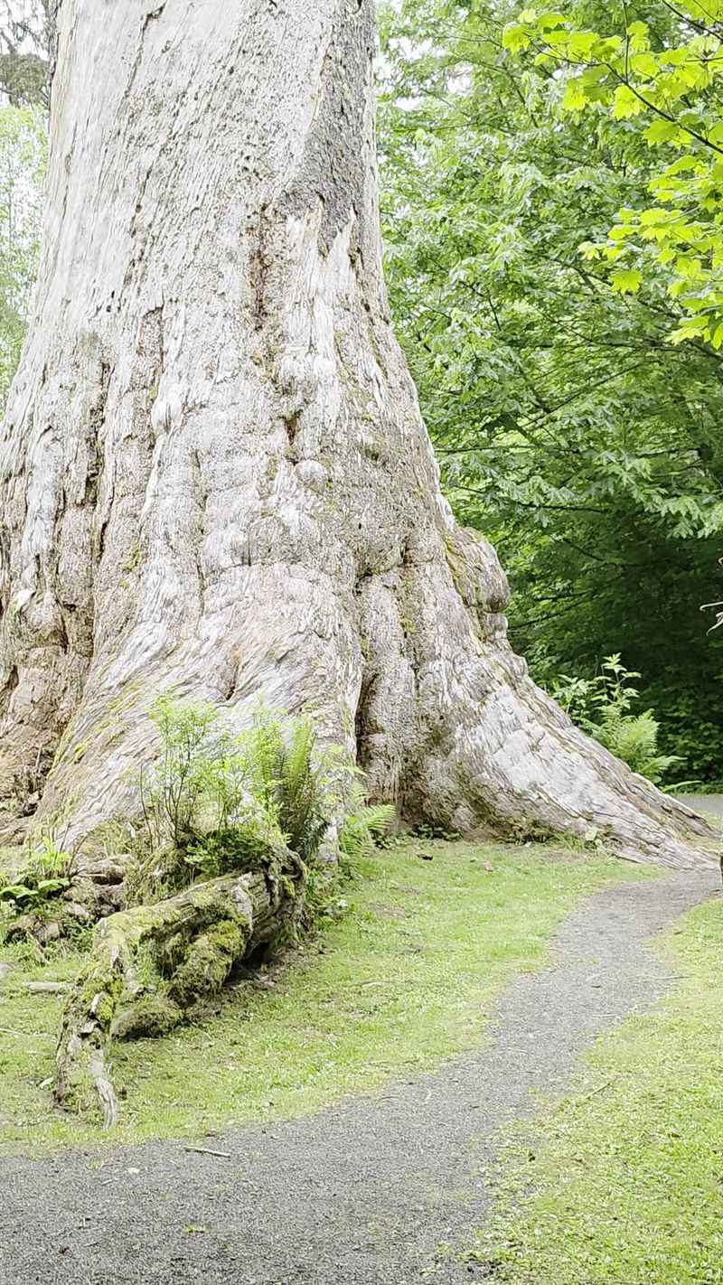 An Easy Walk That Even Tiny Hikers Can Handle