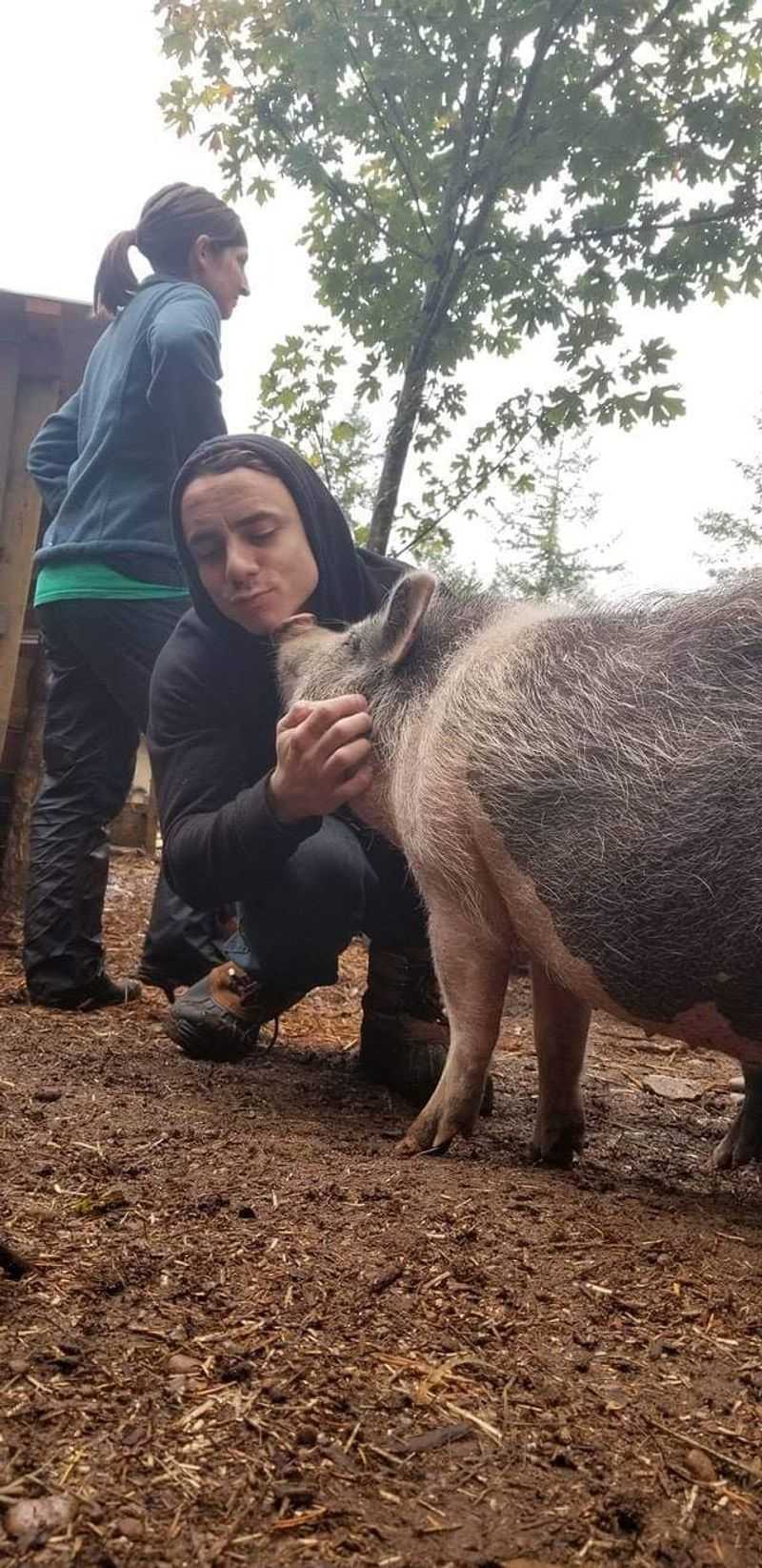 Fall Is Prime Time For A Barnyard Visit