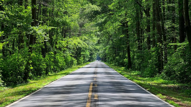 Birders, Pack Your Binoculars Before Spring Hits