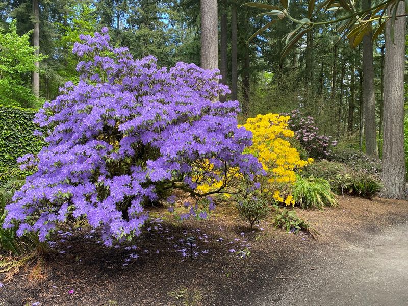 Why This Garden Earns A Spot On Your Spring List
