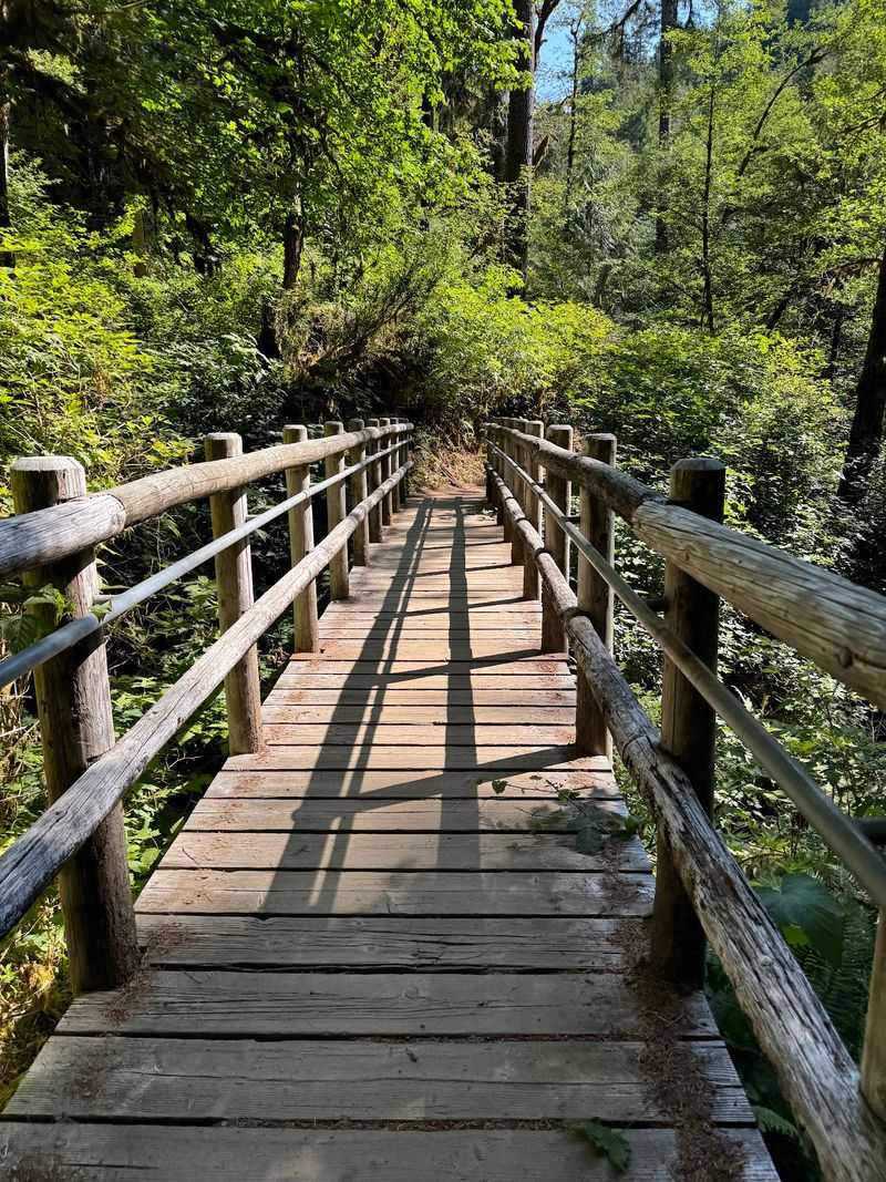 The Drive That Narrows To One Lane