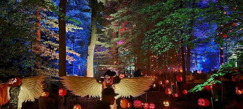 Thousands Of Glowing Pumpkins Steal October
