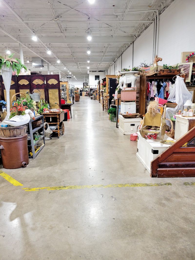 Your Four-Legged Shopping Buddy Can Tag Along