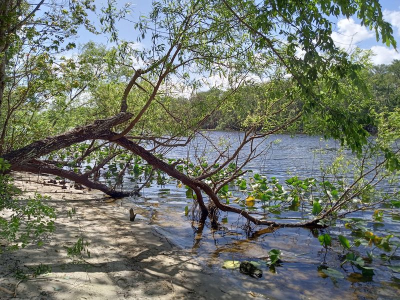The Water's Future Is Still Debated