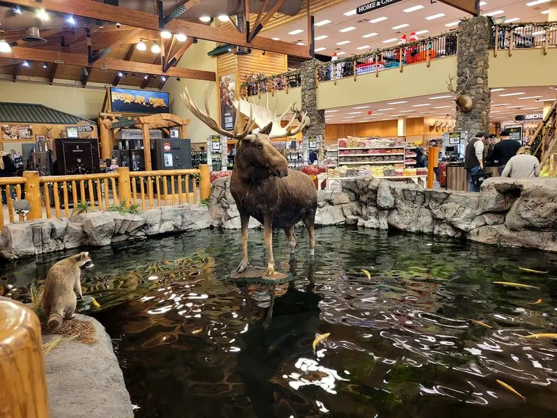 Mountain Scenery Creates a Natural Centerpiece
