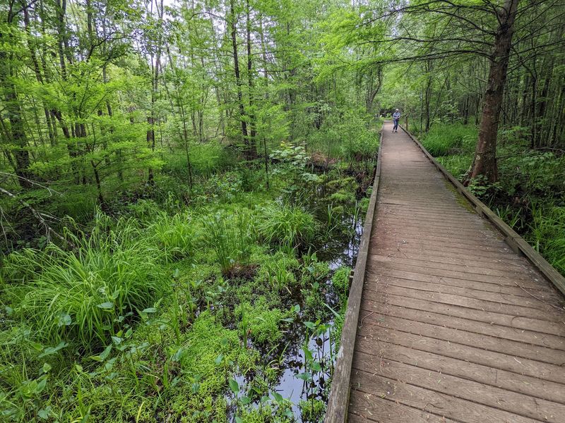 Quiet Trails Reward a Slower Kind of Visit