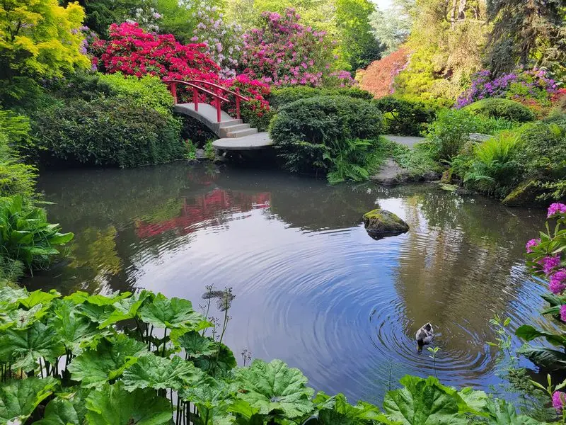 A Quiet Escape That Suits Every Generation