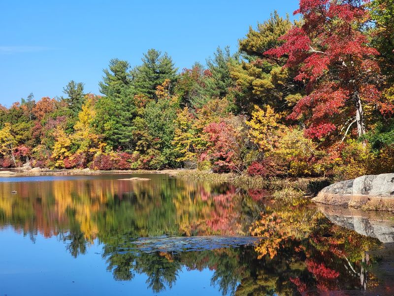 Breakheart Reservation: Rocky Trails With a Coastal Surprise