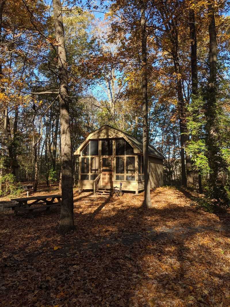 Cozy Cabins Offer a Softer Start to Camping