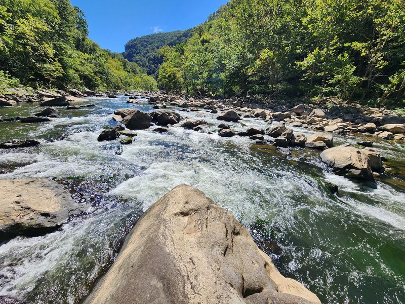 The Russell Fork Gives the Canyon Its Voice