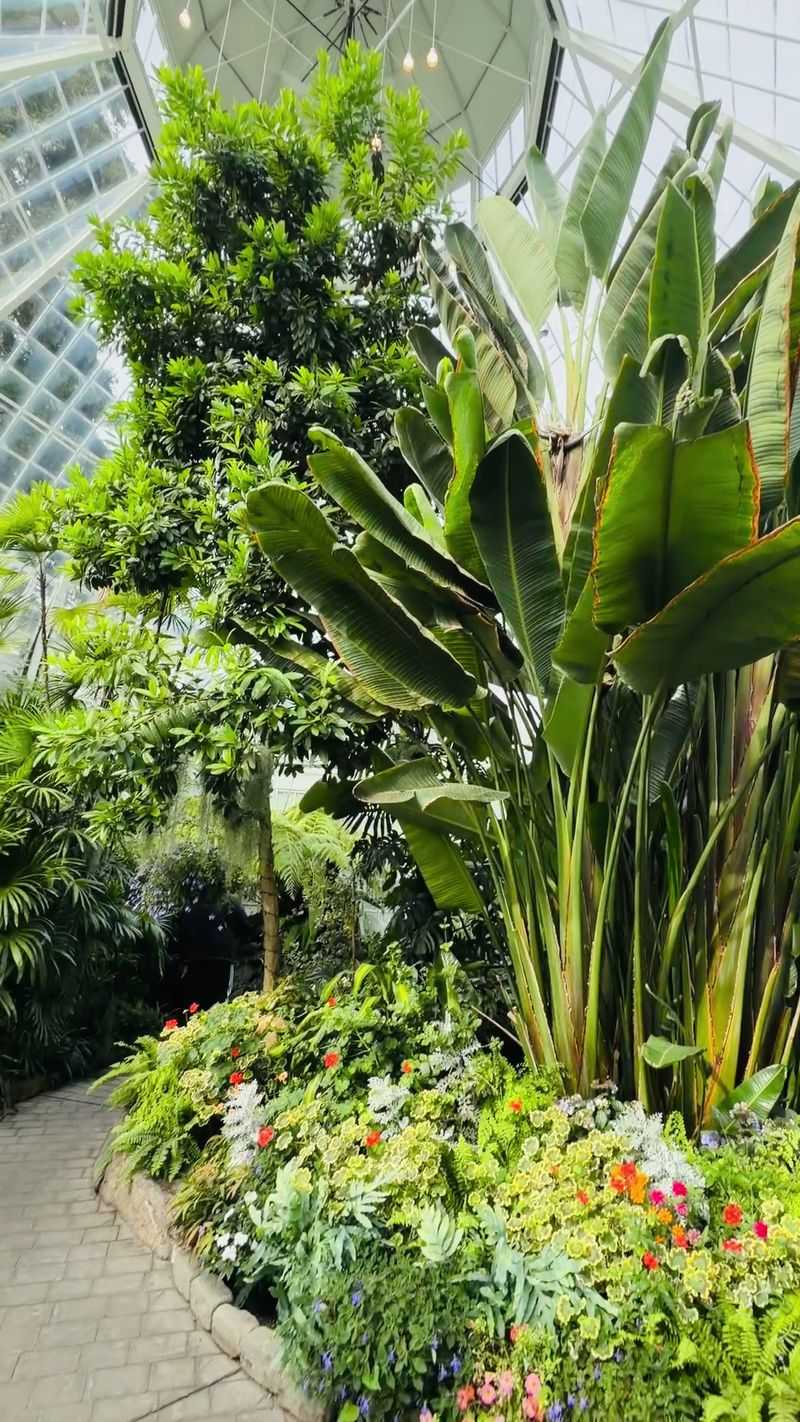 Who Will Love This Leafy Little Escape Most