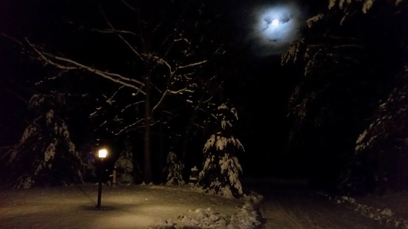 Winter Reveals the Real Cost of a Bargain