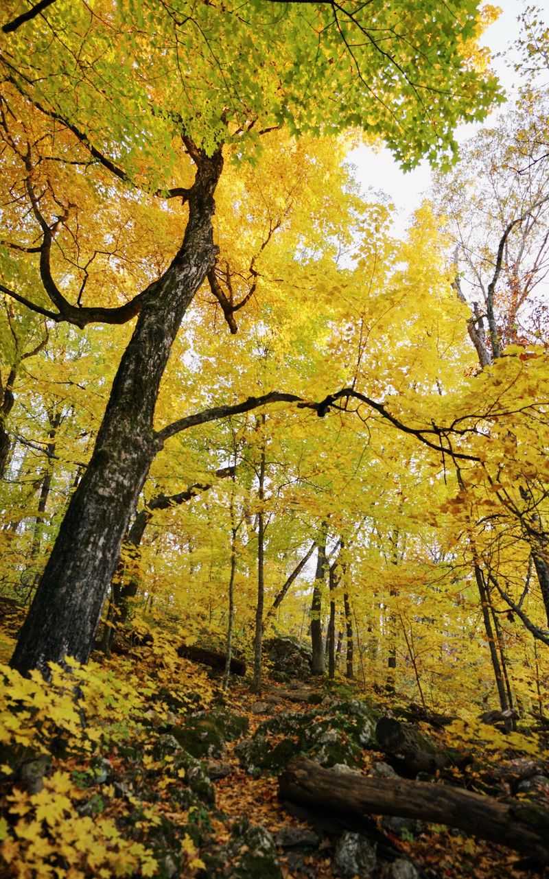 Blue Mound State Park: Climb Above the Patchwork Hills