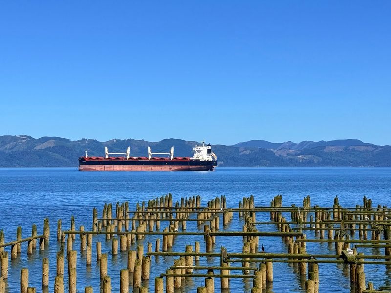 Container Ships That Make Your Car Look Tiny