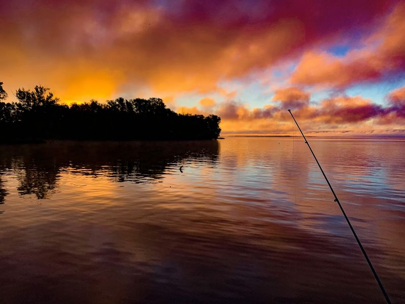 Your Fishing Rod Has A Long Wish List Here