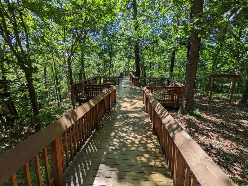 Quiet Forest Trails For Listening, Not Just Looking