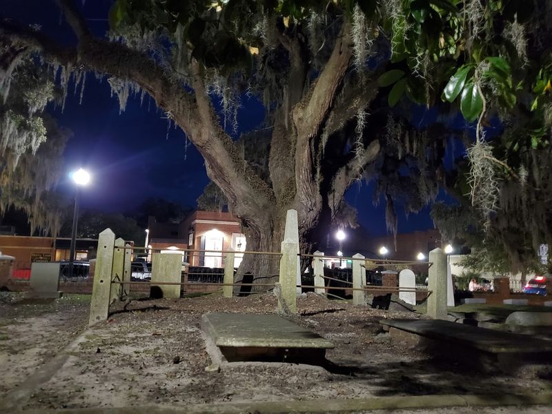 Bones, Oaks, And A Spooky Harbor Wait Around Every Corner