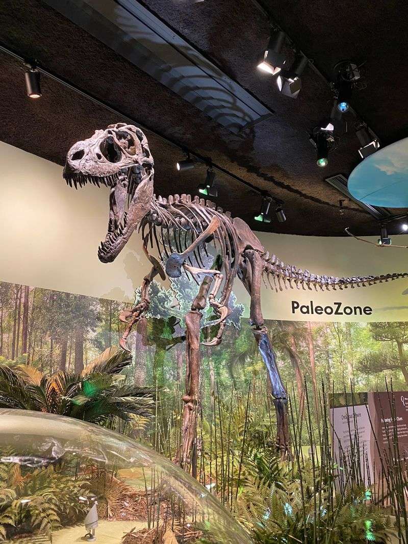 Say Hello To The Dinosaurs That Once Stomped Around Your Backyard